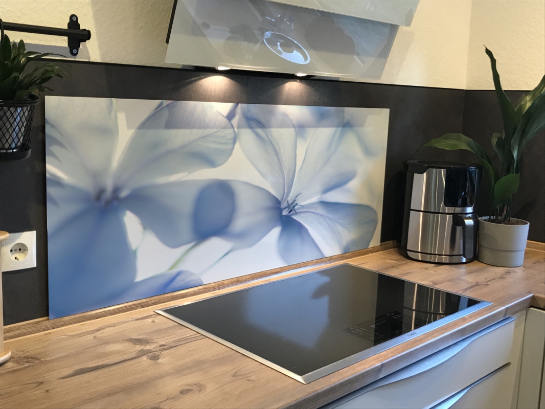Spritzschutz Küche Acrylglas Blüten