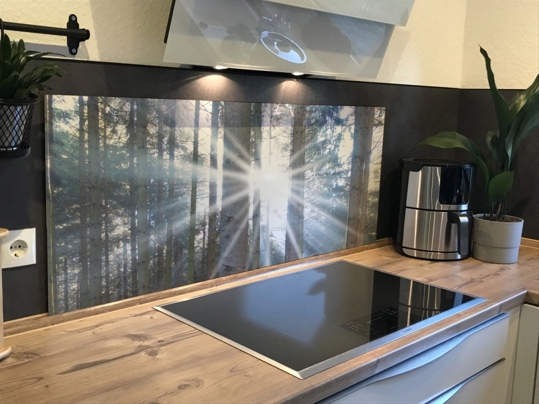 Spritzschutz Küche Hartschaumplatte Wald Sonnenlicht
