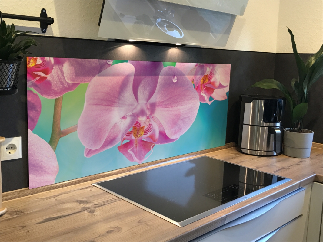 Spritzschutz Küche Acrylglas Orchidee