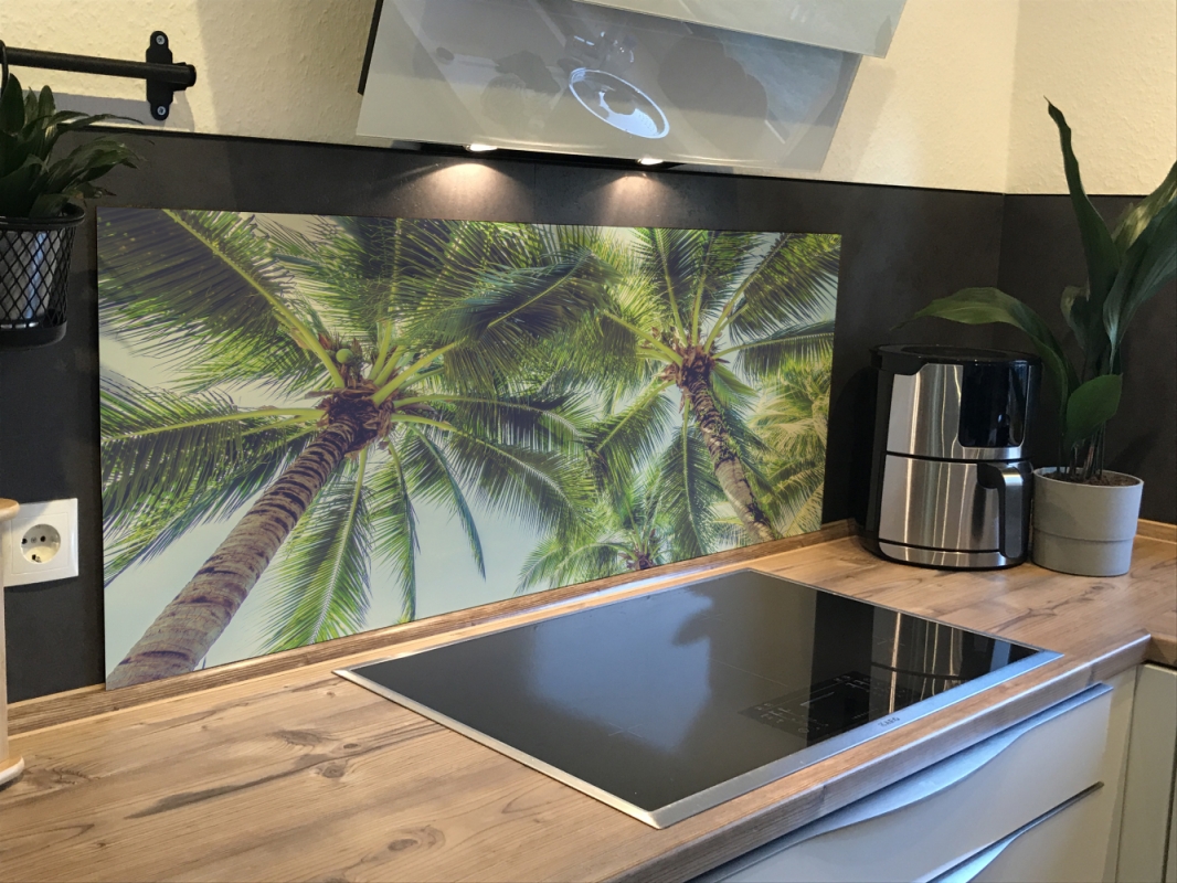 Spritzschutz Küche Acrylglas Palmen