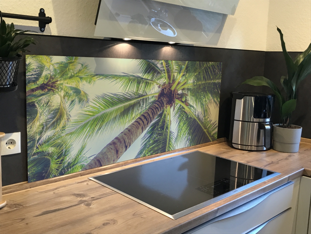 Spritzschutz Küche Acrylglas Palmen