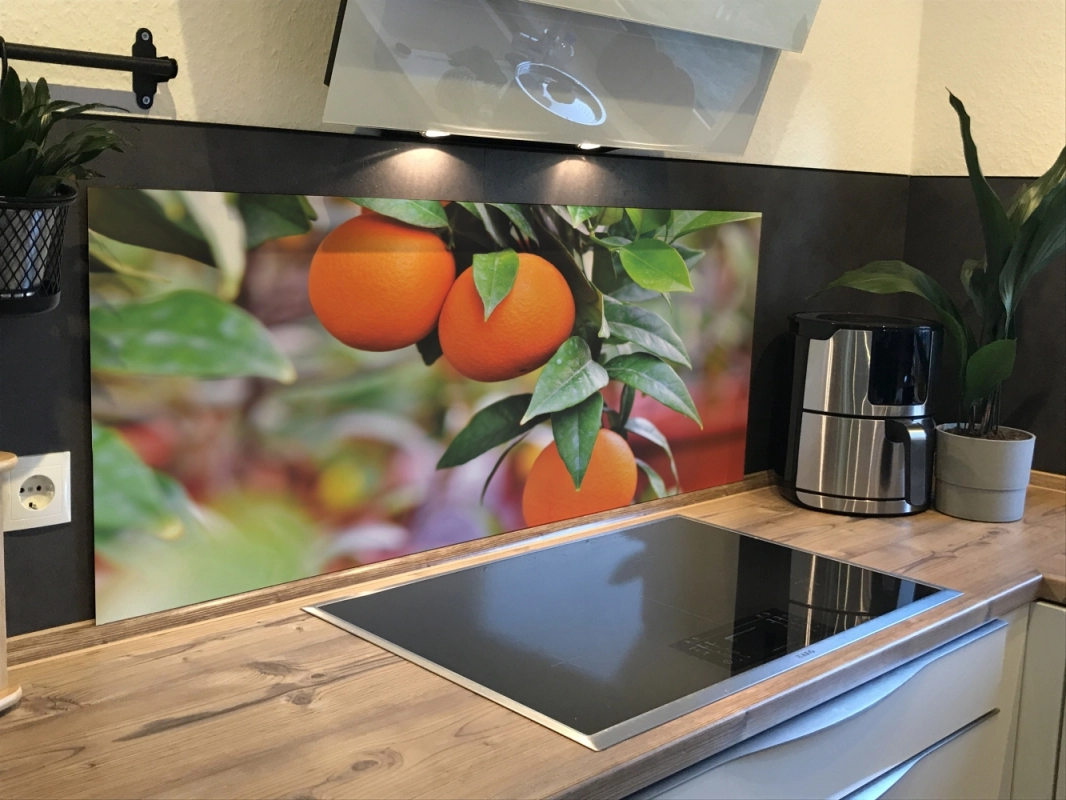 Spritzschutz Küche Hartschaumplatte Orangenbaum