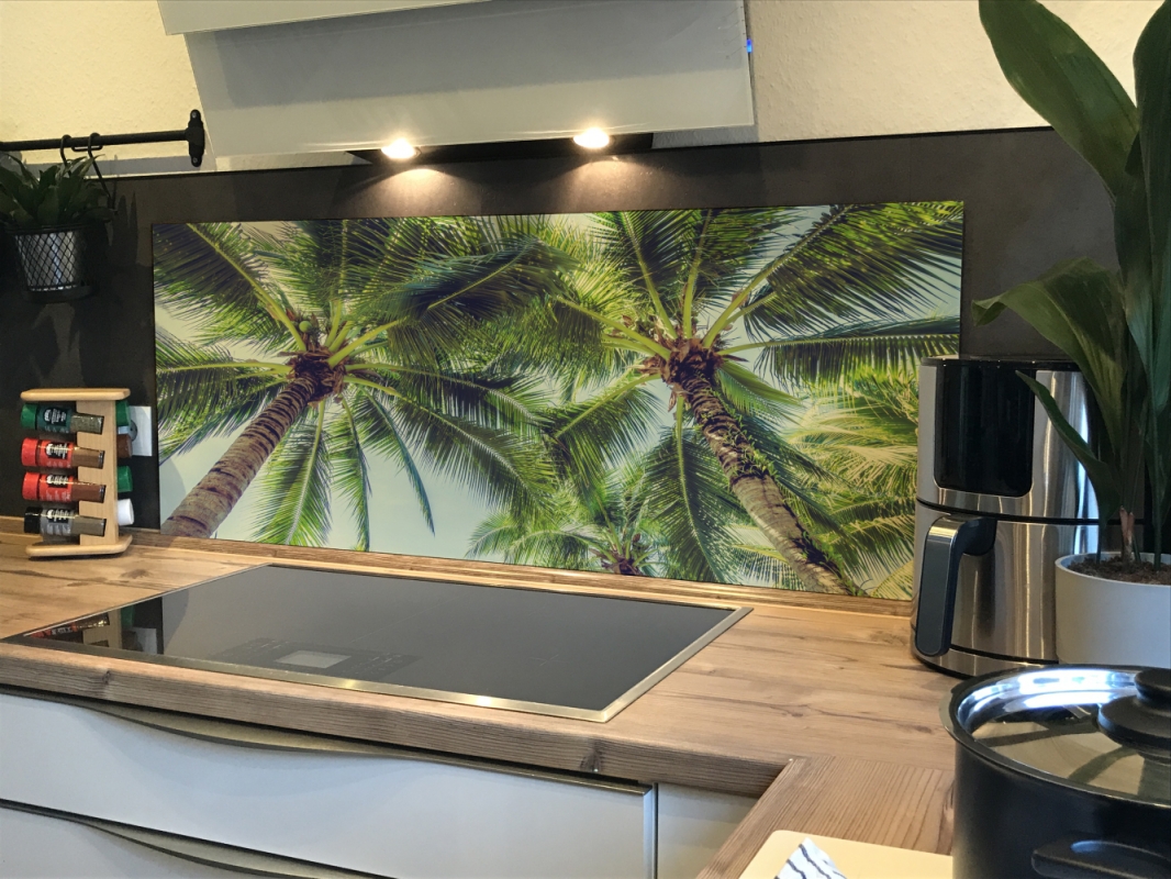 Spritzschutz Küche Acrylglas Palmen