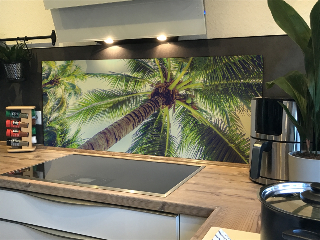 Spritzschutz Küche Acrylglas Palmen