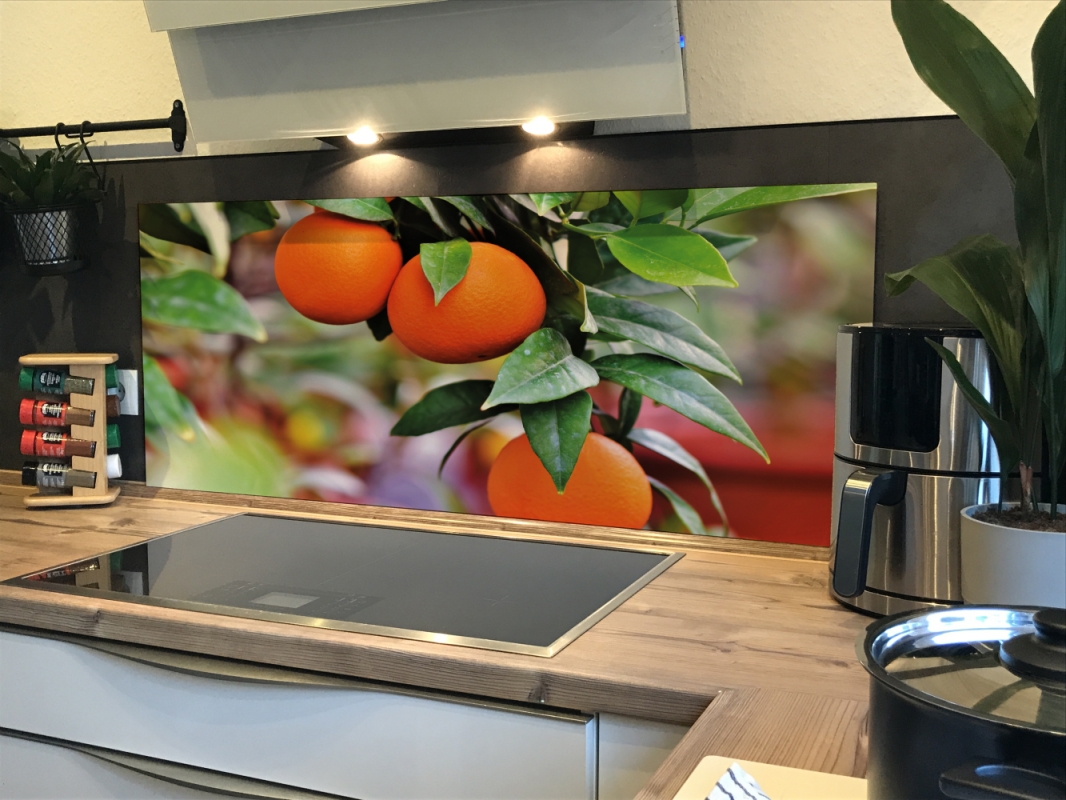 Spritzschutz Küche Acrylglas Orangenbaum