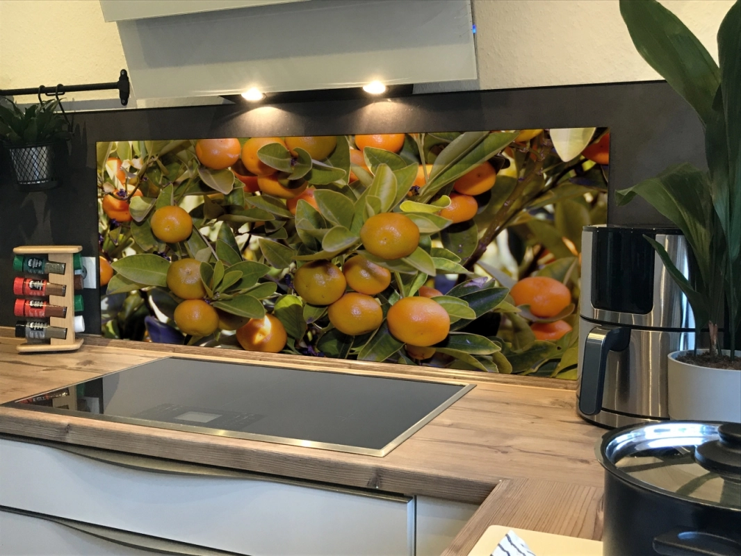 Spritzschutz Küche Hartschaumplatte Orangenbaum