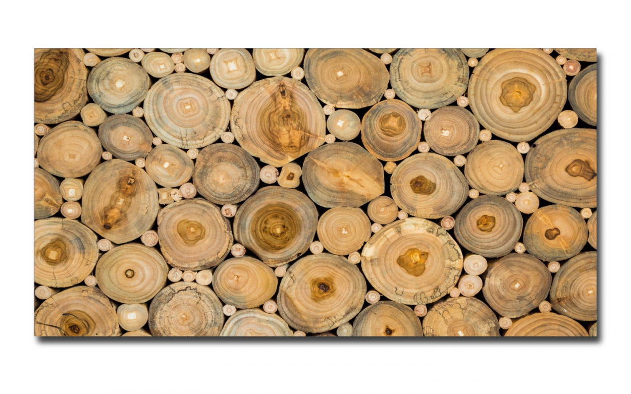 Spritzschutz Küche Acrylglas Holzrinde