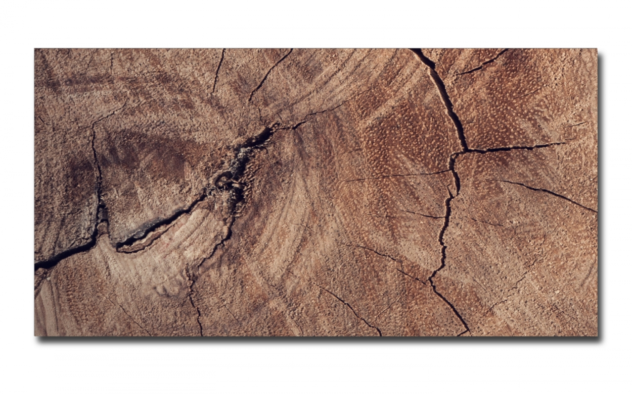 Spritzschutz Küche Acrylglas Echtholz Rinde