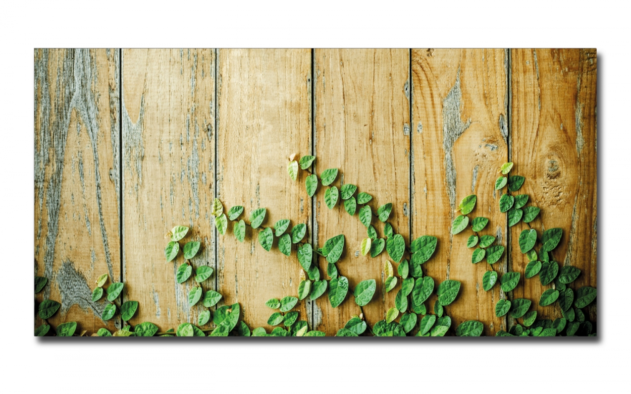 Spritzschutz Küche Acrylglas Holzoptik