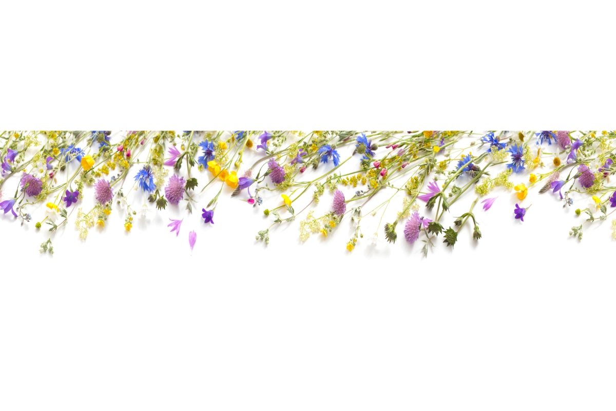 Küchenrückwand Aluverbund Blumen Küchenrückwand Aluverbund Blumen