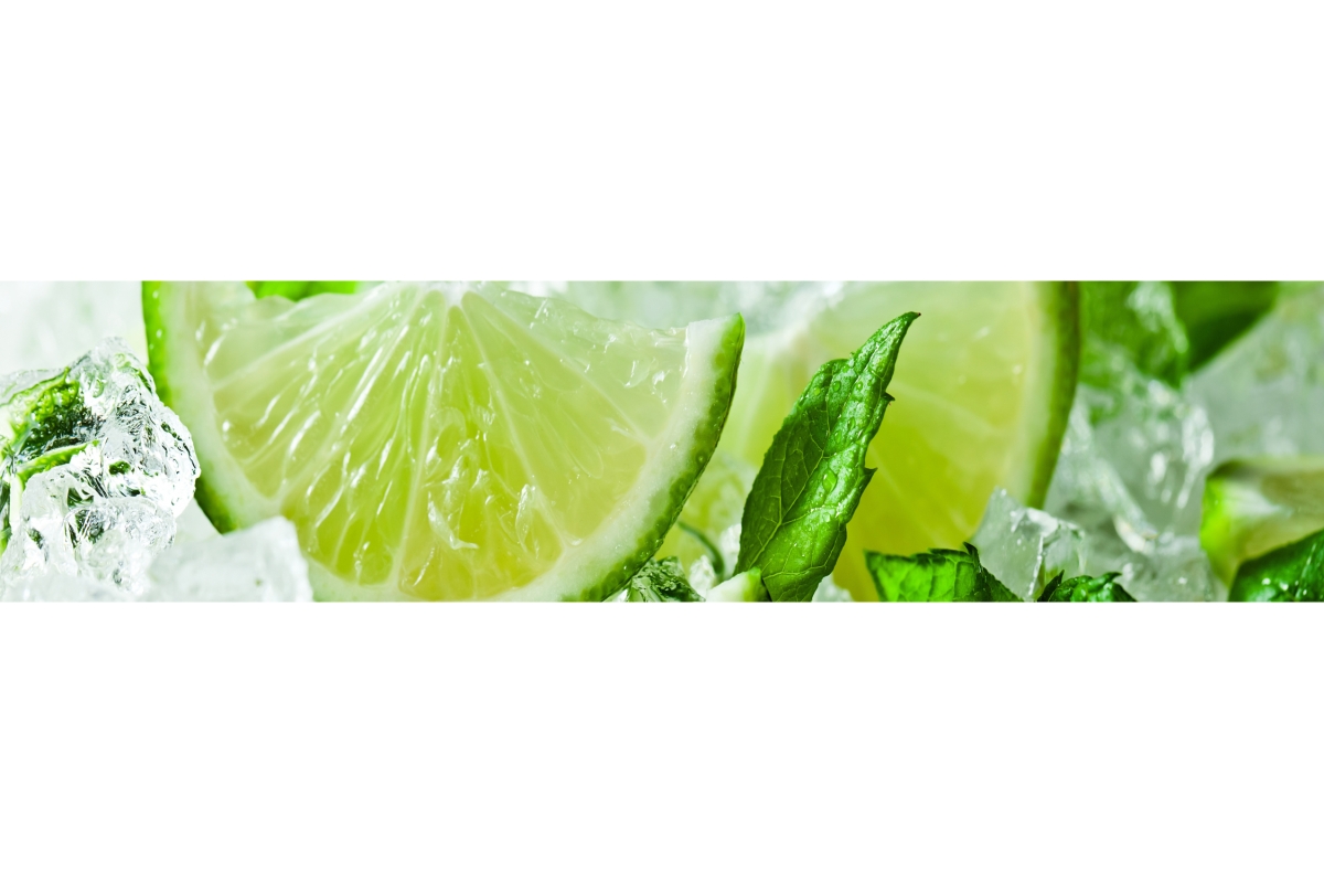 Küchenrückwand Hartschaumplatte Limetten Küchenrückwand Hartschaumplatte Limetten