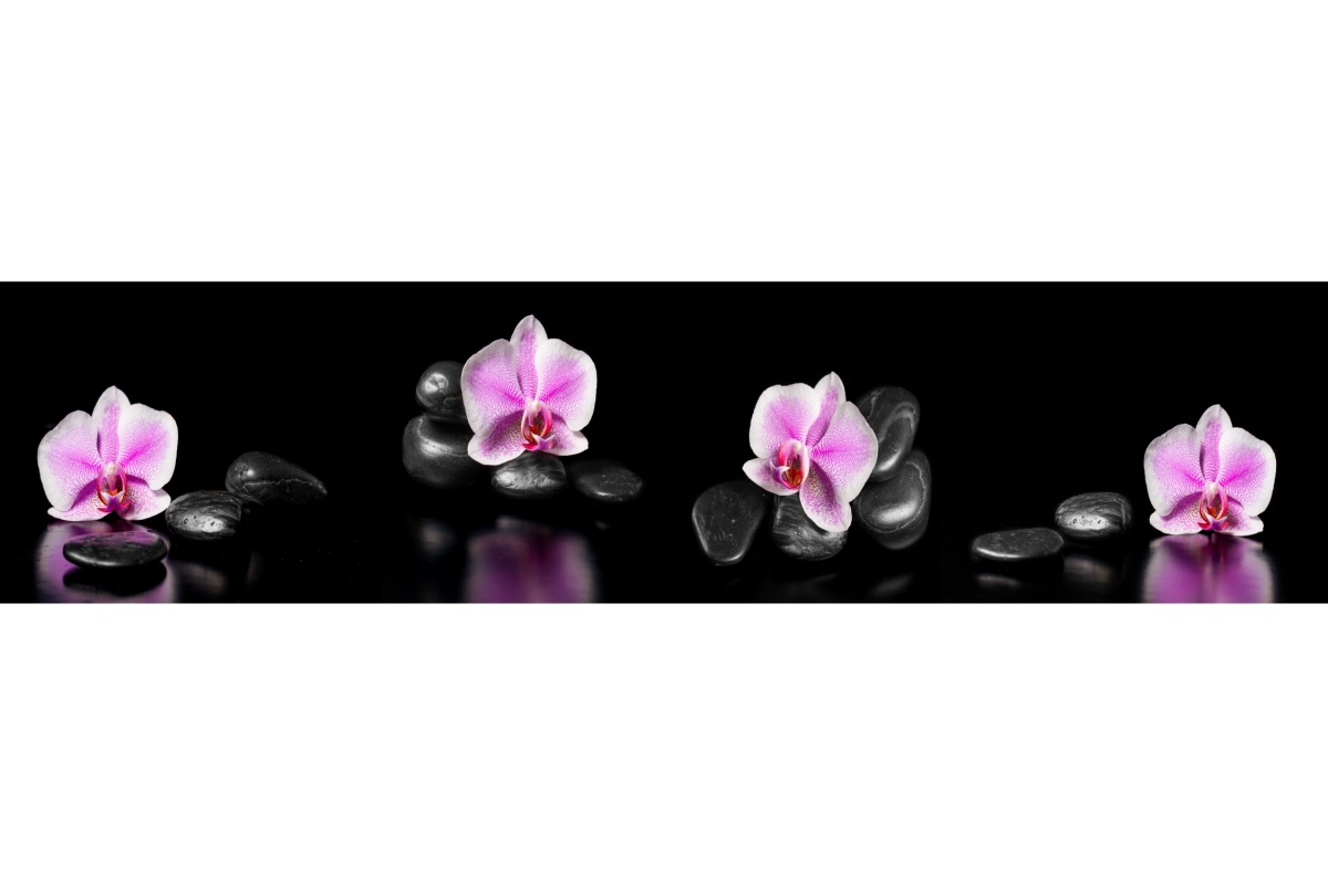 Küchenrückwand Aluverbund Zen Steine Orchideen Küchenrückwand Aluverbund Zen Steine Orchideen