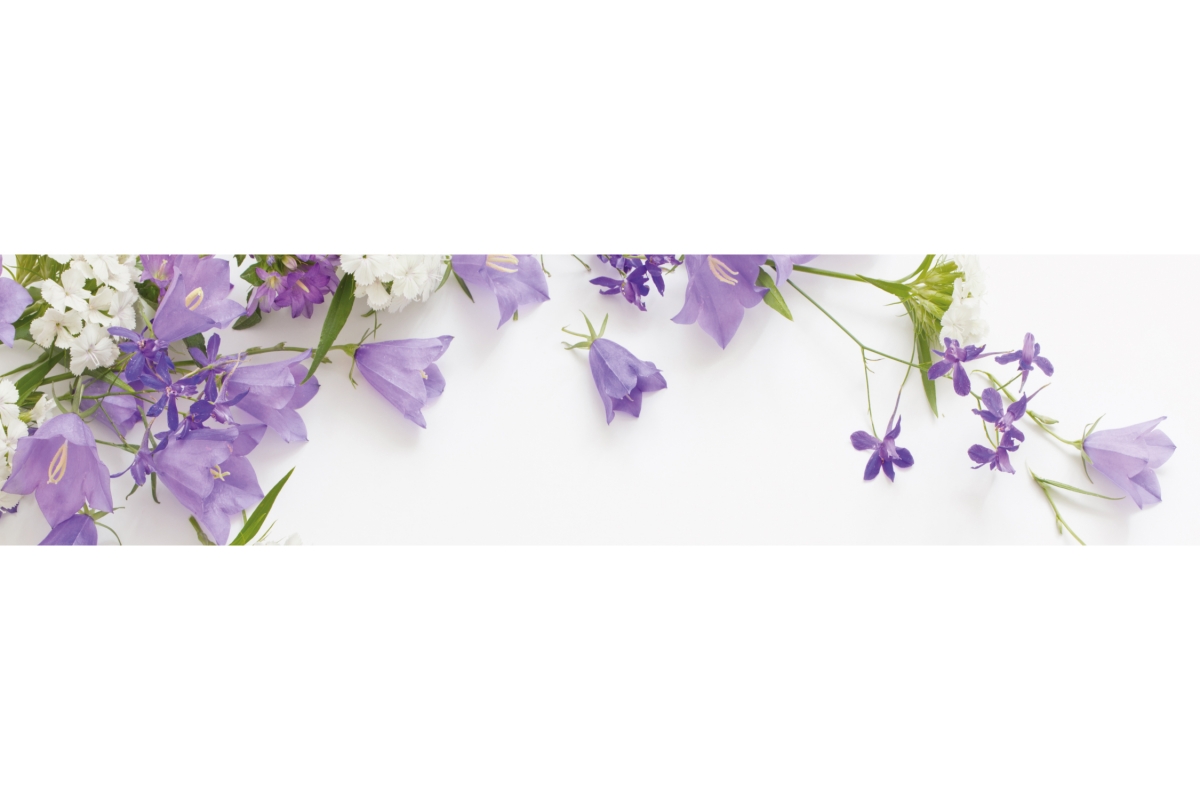 Küchenrückwand Lila Frühlingsblumen Küchenrückwand Lila Frühlingsblumen