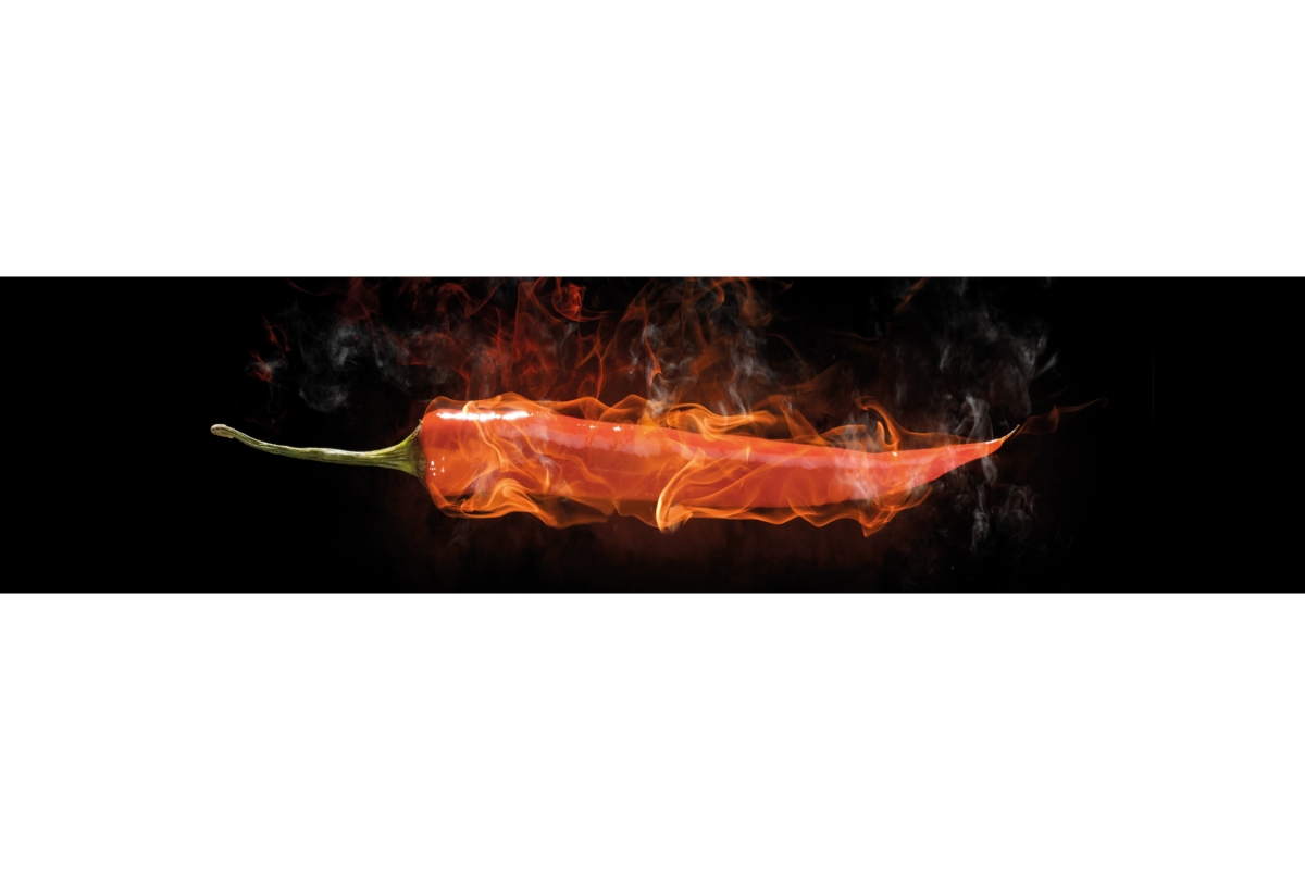 Küchenrückwand Aluverbund Hot Peperoni Küchenrückwand Aluverbund Hot Peperoni