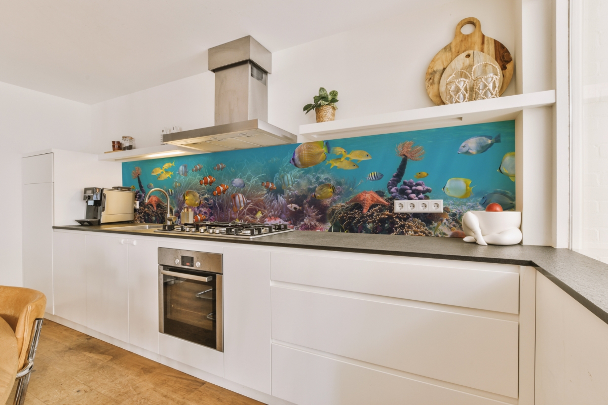 Küchenrückwand Hartschaumplatte Unterwasserwelt Fische Küchenrückwand Hartschaumplatte Unterwasserwelt Fische