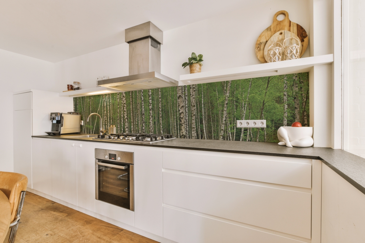 Küchenrückwand Aluverbund Birkenwald Küchenrückwand Aluverbund Birkenwald