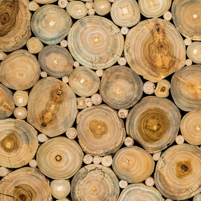 Küchenrückwand Holzrinde Küchenrückwand Holzrinde