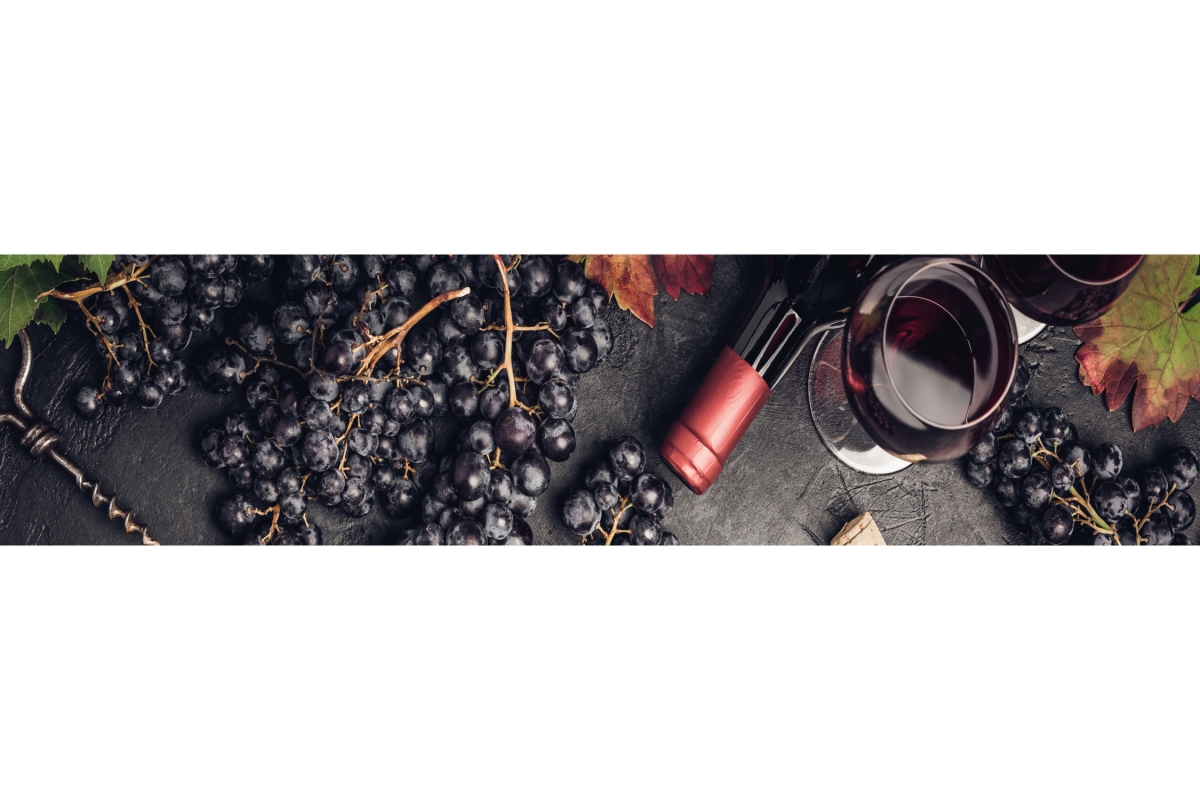 Küchenrückwand Folie Wein Trauben Küchenrückwand Folie Wein Trauben