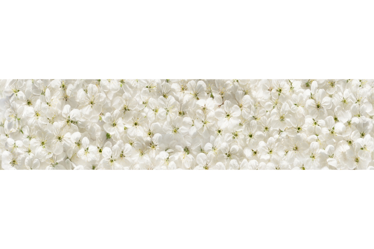 Küchenrückwand Folie Kleine Blümchen Küchenrückwand Folie Kleine Blümchen
