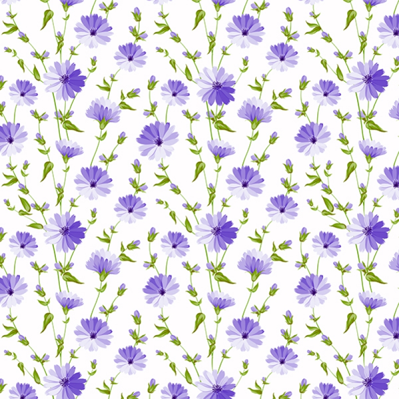 Küchenrückwand Hartschaumplatte Blühende Blumen Lila Küchenrückwand Hartschaumplatte Blühende Blumen Lila