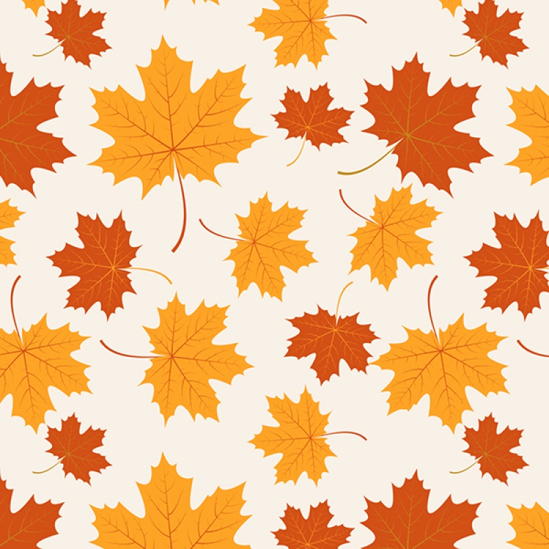 Küchenrückwand Hartschaumplatte Herbst Küchenrückwand Hartschaumplatte Herbst