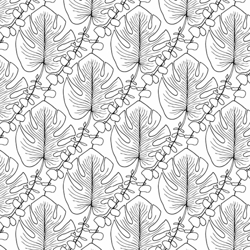 Küchenrückwand Hartschaumplatte Monstera Zeichnung Küchenrückwand Hartschaumplatte Monstera Zeichnung