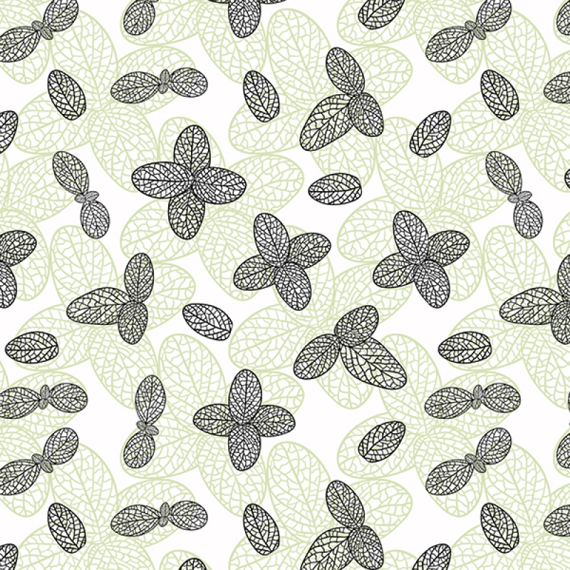 Küchenrückwand Minze Küchenrückwand Minze