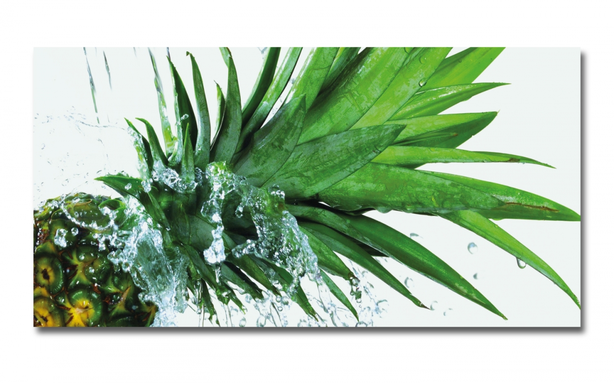 Spritzschutz Küche Aluverbund Ananas Splash Spritzschutz Küche Aluverbund Ananas Splash