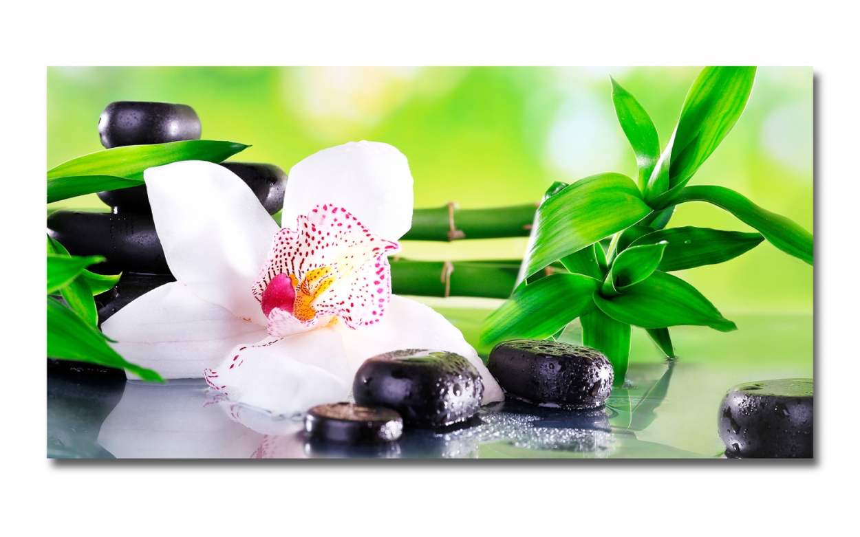 Spritzschutz Küche Orchidee Spa Bambus Spritzschutz Küche Orchidee Spa Bambus