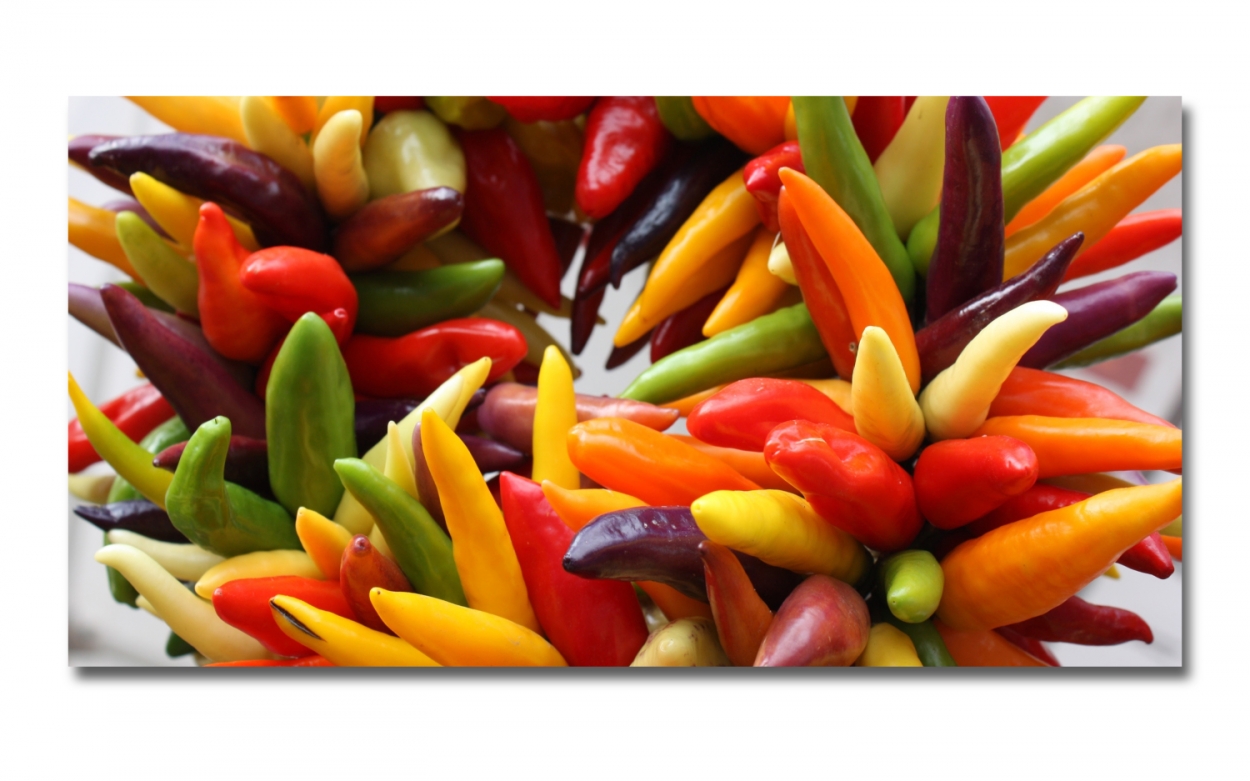 Spritzschutz Küche Hartschaumplatte Bunte Chilischoten Spritzschutz Küche Hartschaumplatte Bunte Chilischoten