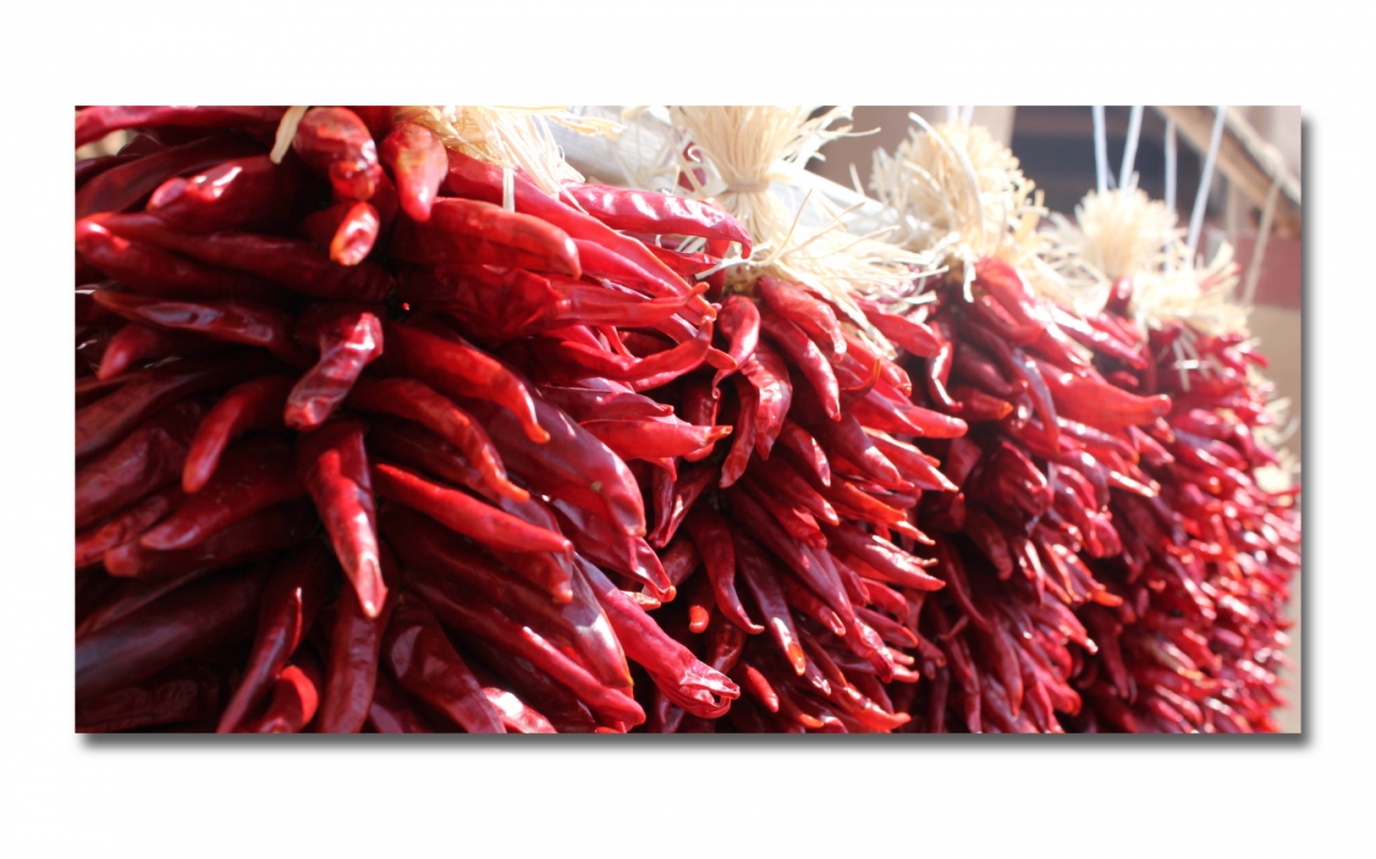 Spritzschutz Küche Getrocknete Chilischoten Spritzschutz Küche Getrocknete Chilischoten