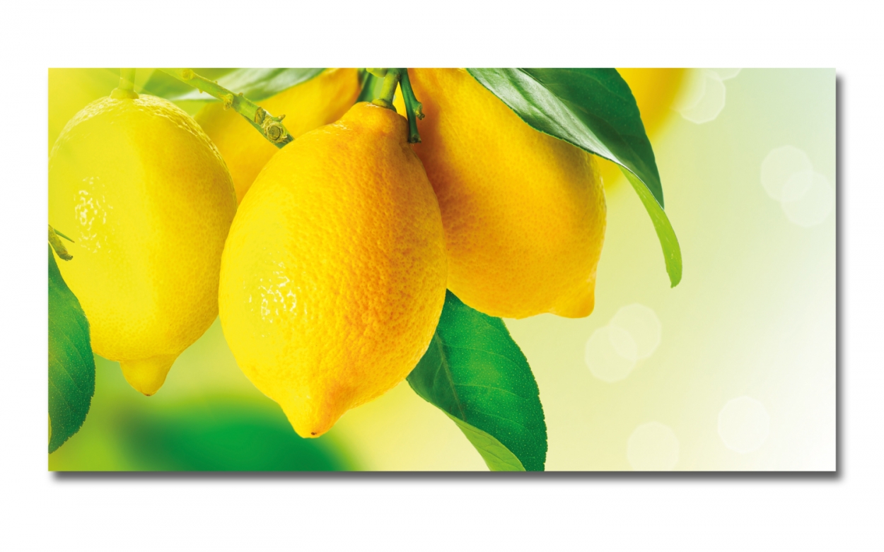 Spritzschutz Küche Hartschaumplatte Zitronen Spritzschutz Küche Hartschaumplatte Zitronen