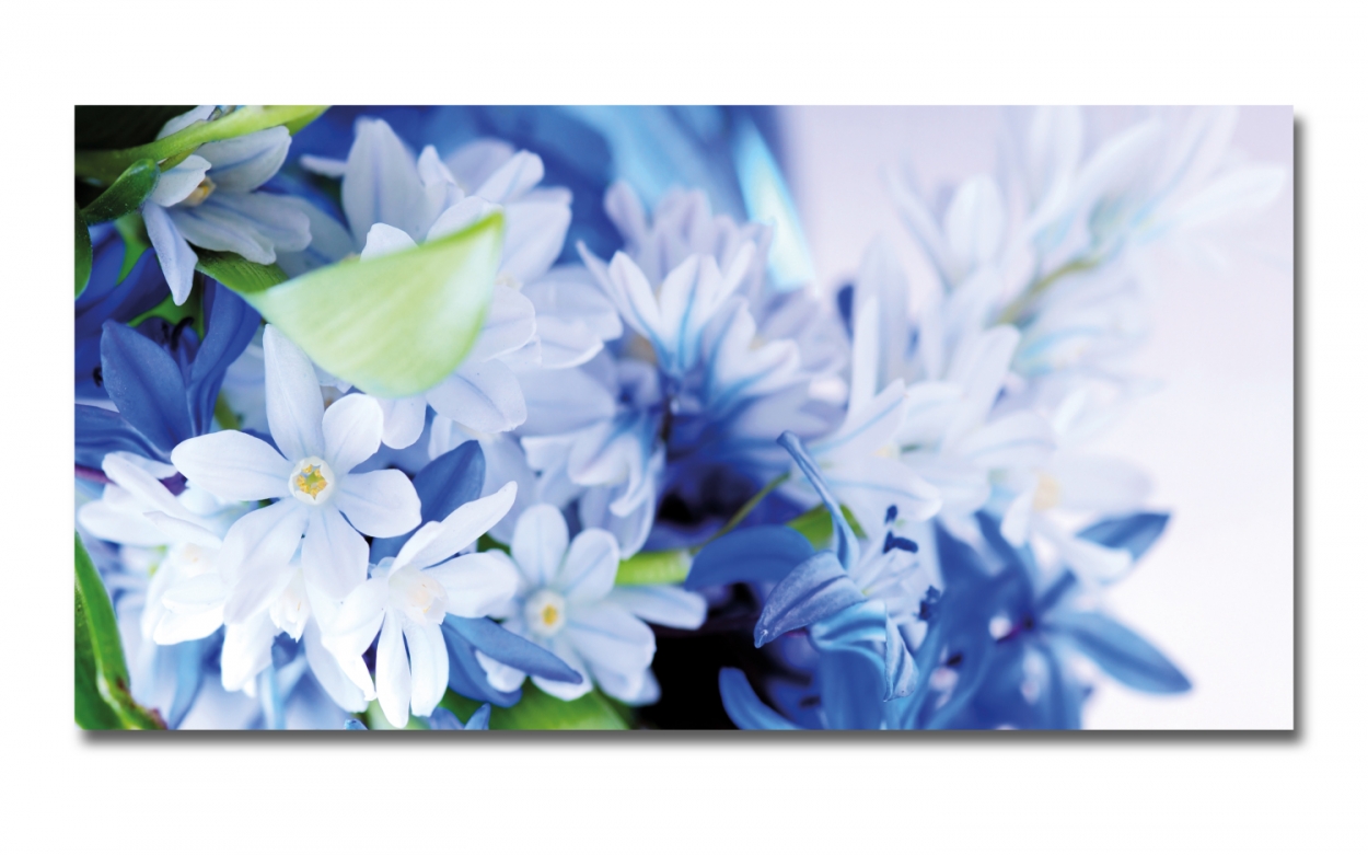 Spritzschutz Küche Blüten Spritzschutz Küche Blüten