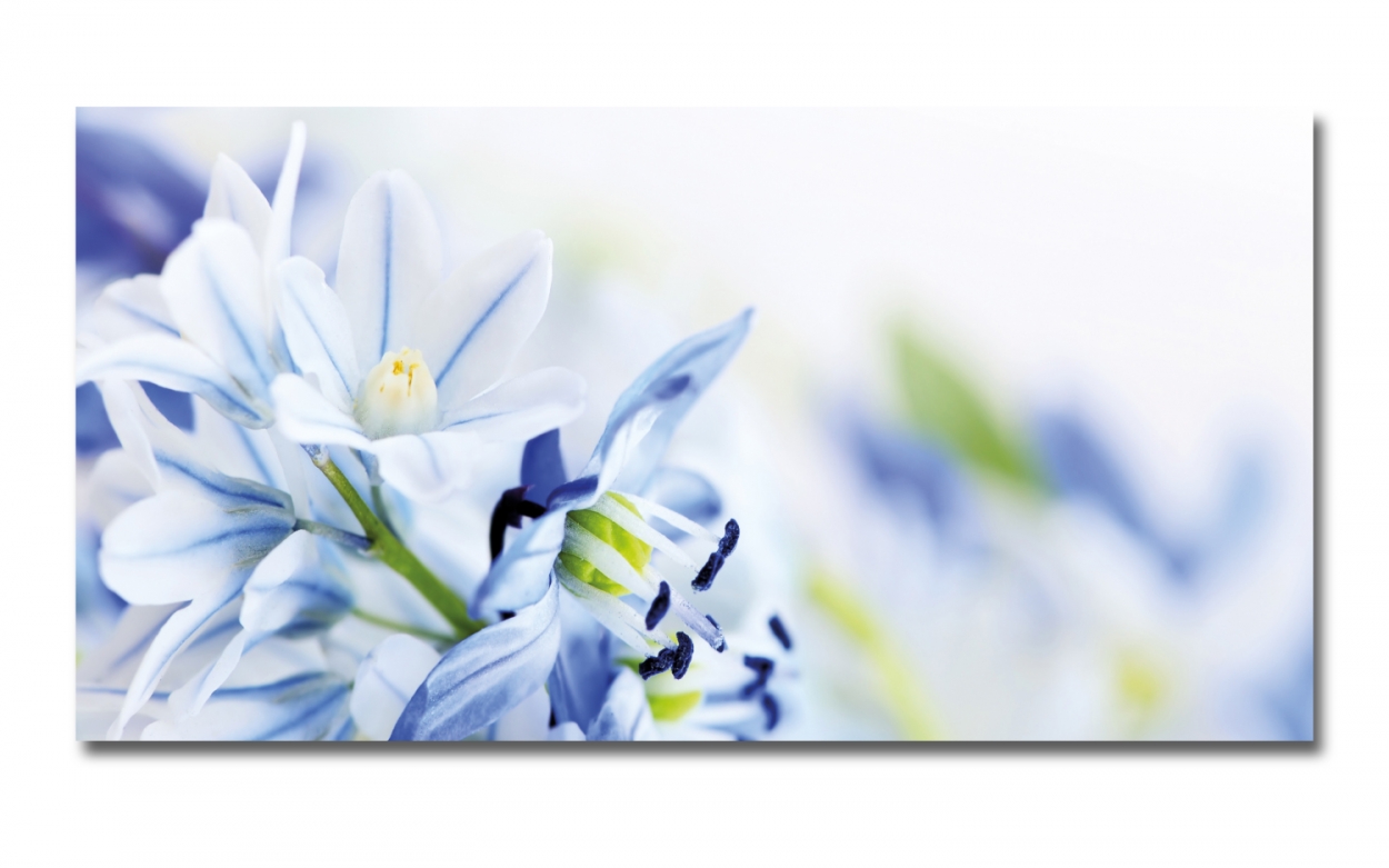 Spritzschutz Küche Hartschaumplatte Blumen Spritzschutz Küche Hartschaumplatte Blumen