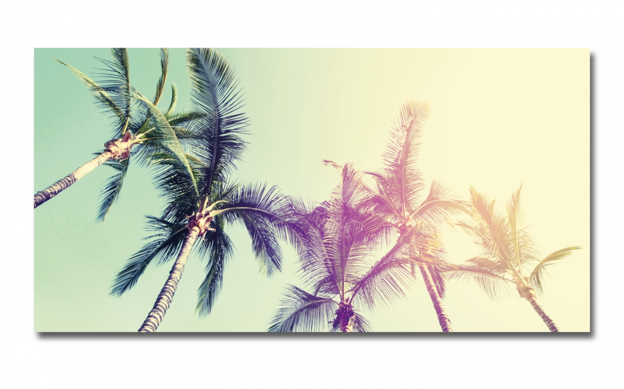 Spritzschutz Küche Hartschaumplatte Palmen Sonnenschein Spritzschutz Küche Hartschaumplatte Palmen Sonnenschein
