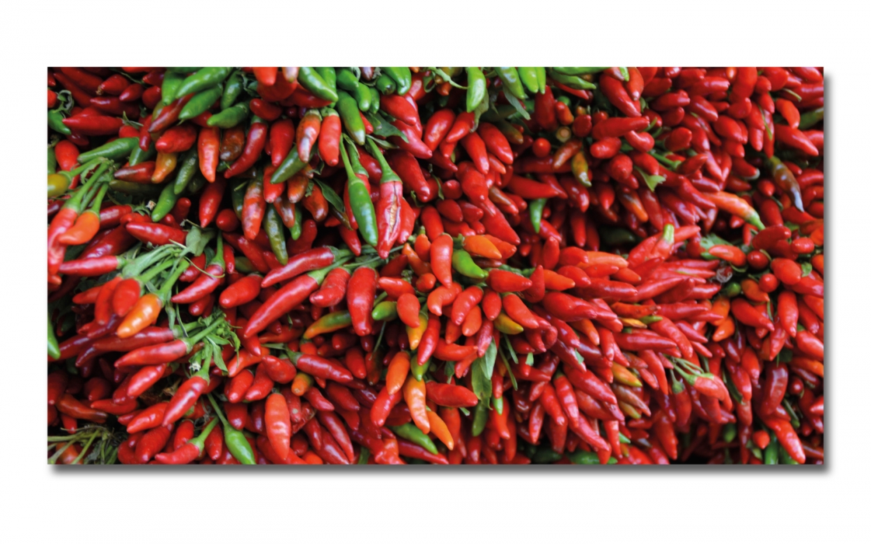 Spritzschutz Küche Acrylglas Peperoni Bündel Spritzschutz Küche Acrylglas Peperoni Bündel