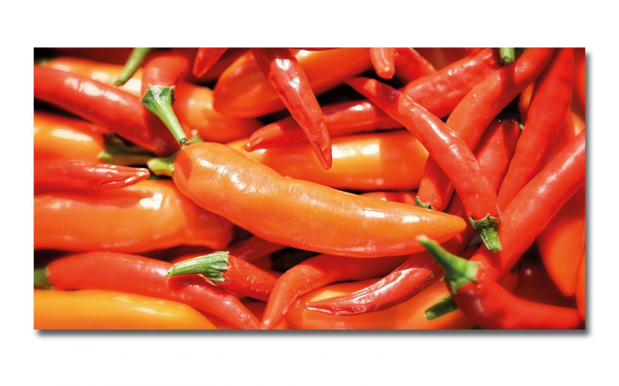 Spritzschutz Küche Acrylglas Peperoni Spritzschutz Küche Acrylglas Peperoni