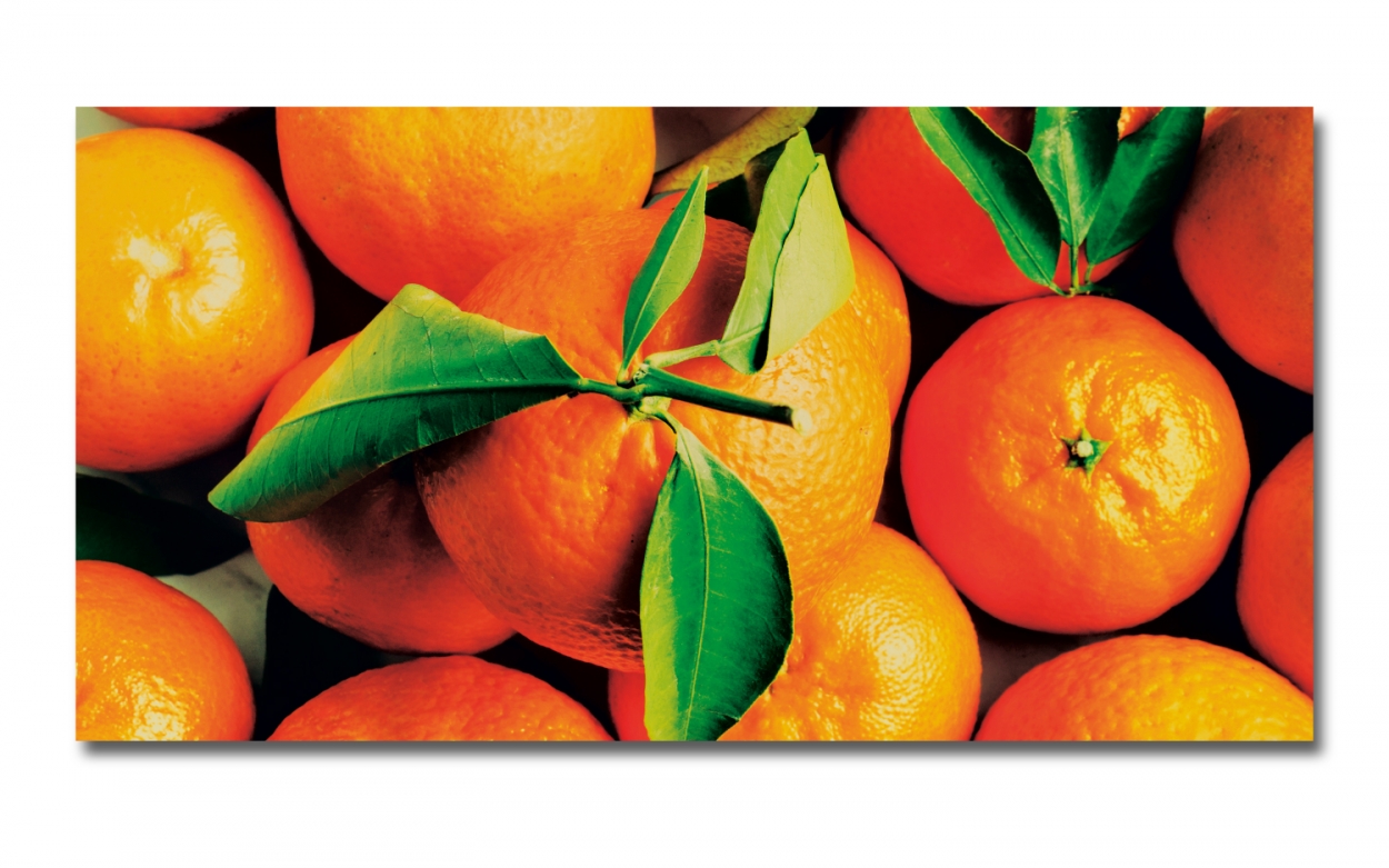 Spritzschutz Küche Aluverbund Mandarinen Spritzschutz Küche Aluverbund Mandarinen