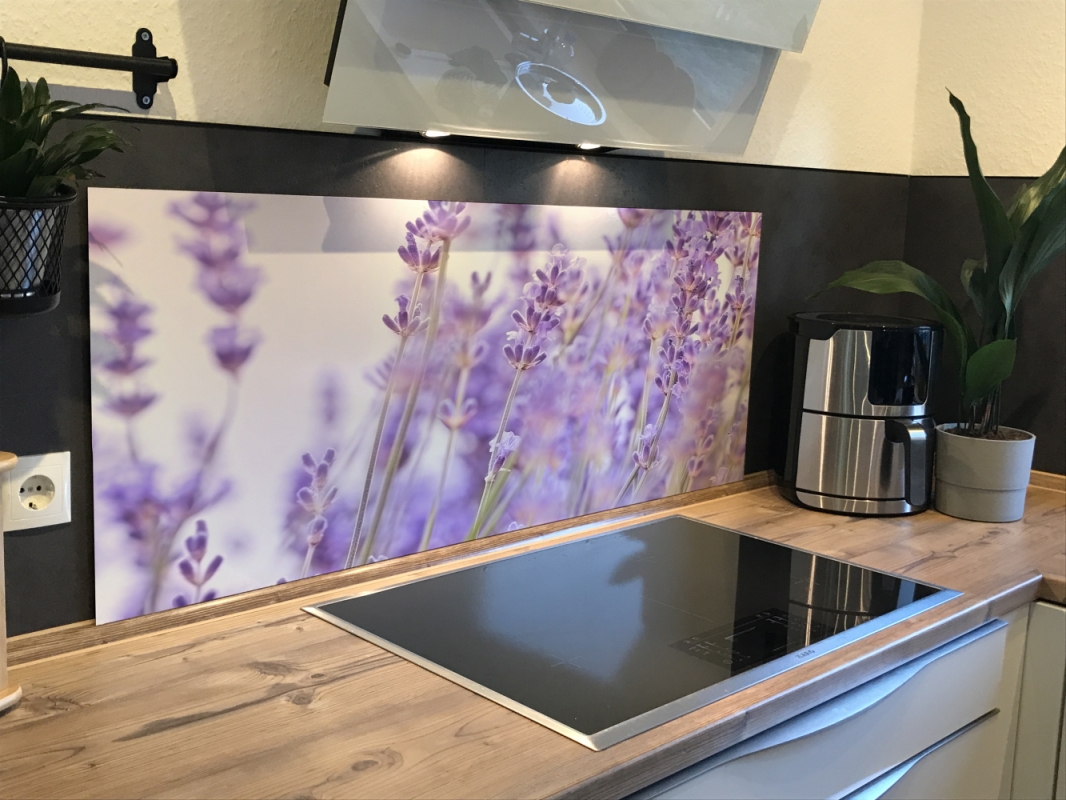 Spritzschutz Küche Lavendel Feld Spritzschutz Küche Lavendel Feld