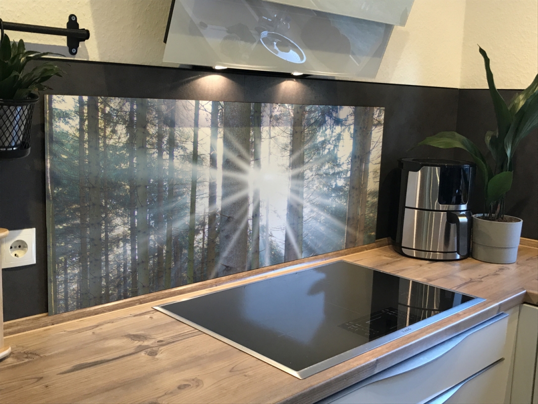 Spritzschutz Küche Hartschaumplatte Wald Sonnenlicht Spritzschutz Küche Hartschaumplatte Wald Sonnenlicht