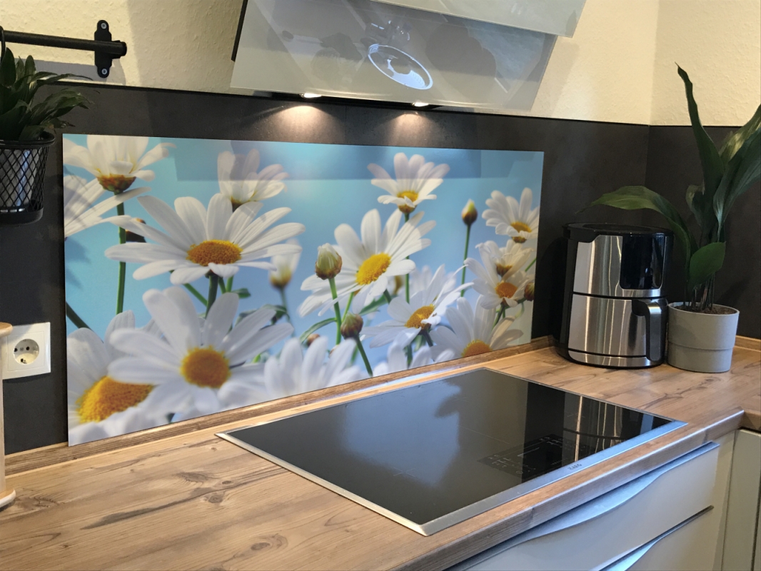 Spritzschutz Küche Acrylglas Gänseblümchen Spritzschutz Küche Acrylglas Gänseblümchen
