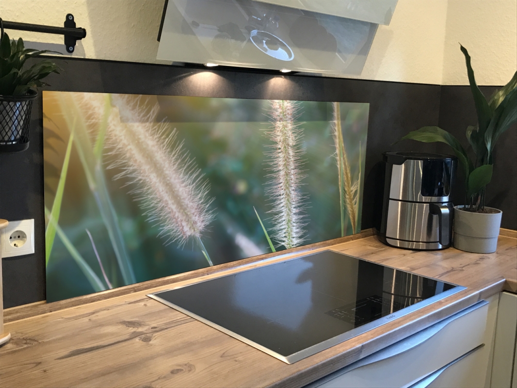 Spritzschutz Küche Hartschaumplatte Pampas Spritzschutz Küche Hartschaumplatte Pampas