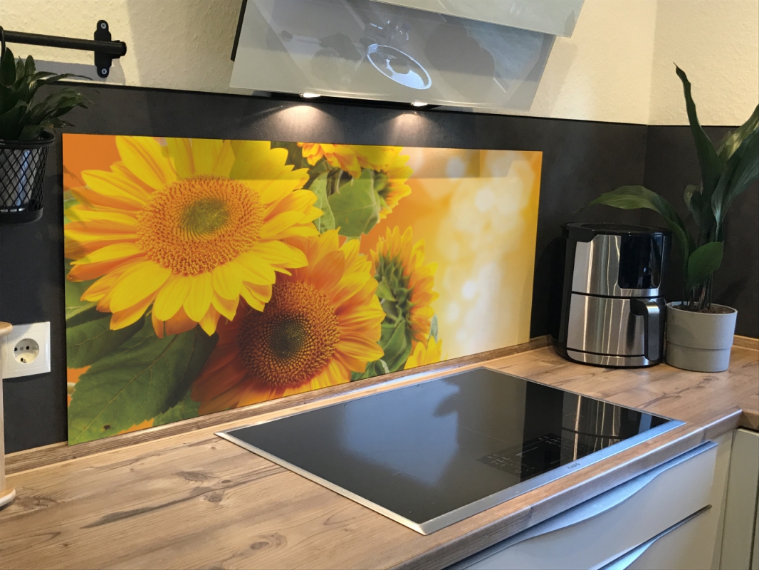Spritzschutz Küche Hartschaumplatte Sonnenblume Spritzschutz Küche Hartschaumplatte Sonnenblume