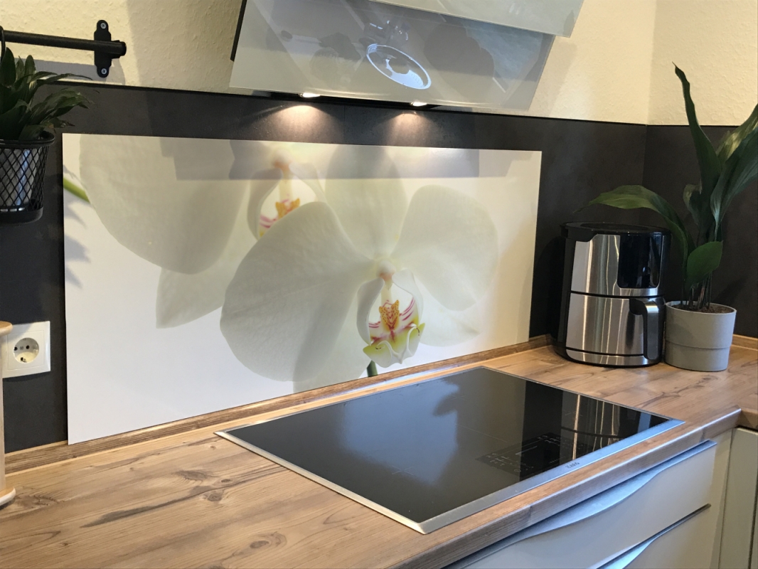Spritzschutz Küche Hartschaumplatte Orchidee Spritzschutz Küche Hartschaumplatte Orchidee