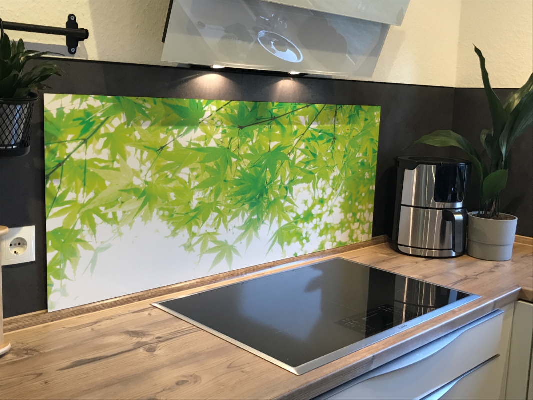 Spritzschutz Küche Hartschaumplatte Grüne Ahorn Blätter Spritzschutz Küche Hartschaumplatte Grüne Ahorn Blätter
