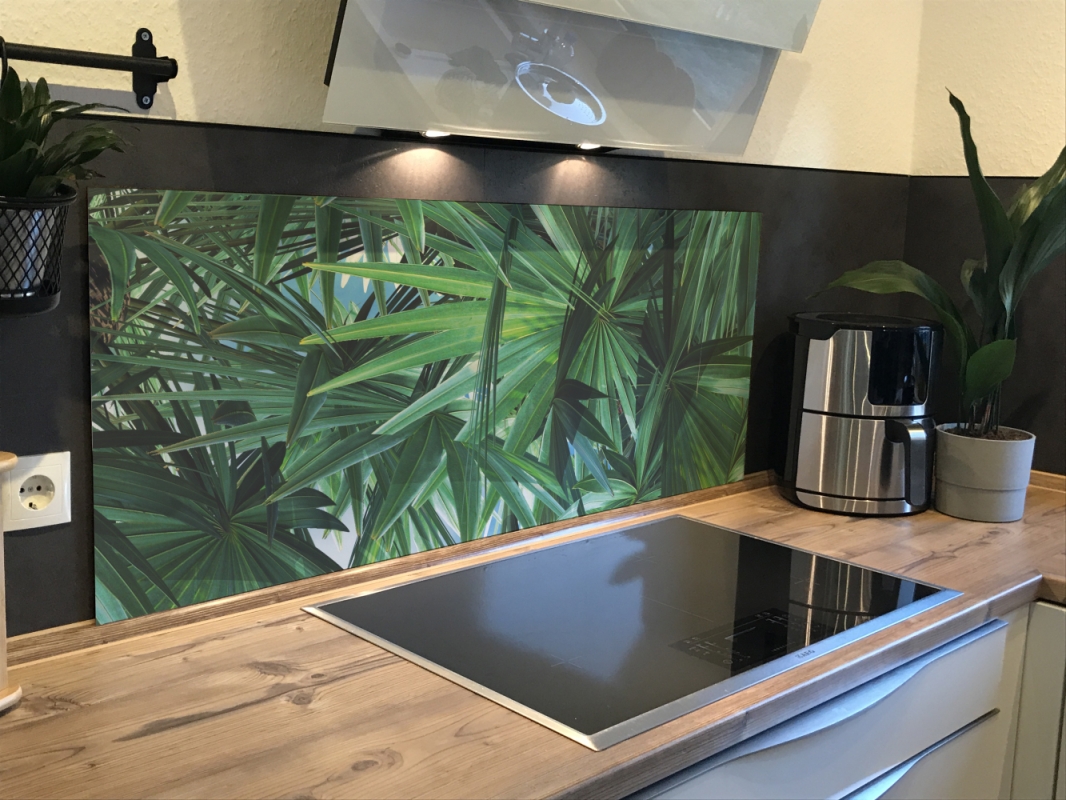 Spritzschutz Küche Acrylglas Tropische Blätter Spritzschutz Küche Acrylglas Tropische Blätter
