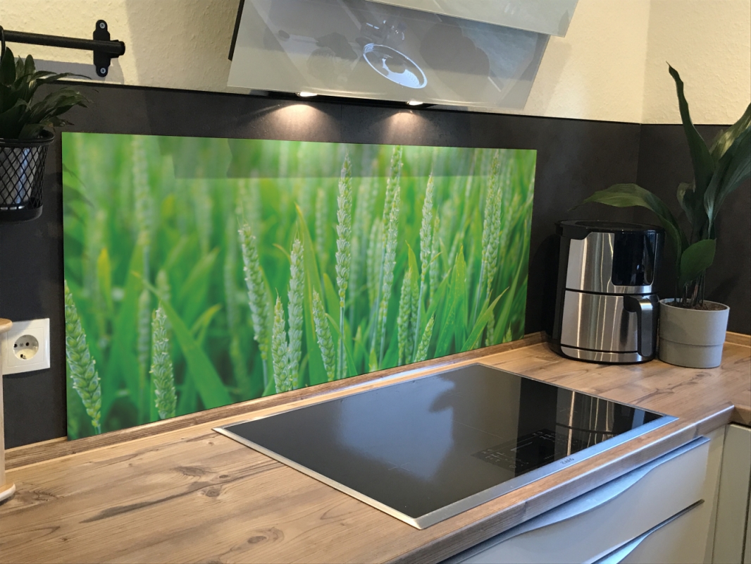 Spritzschutz Küche Acrylglas Grüner Weizenfeld Spritzschutz Küche Acrylglas Grüner Weizenfeld