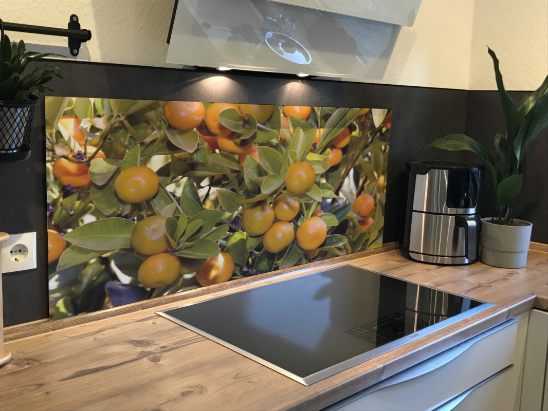 Spritzschutz Küche Hartschaumplatte Orangenbaum Spritzschutz Küche Hartschaumplatte Orangenbaum