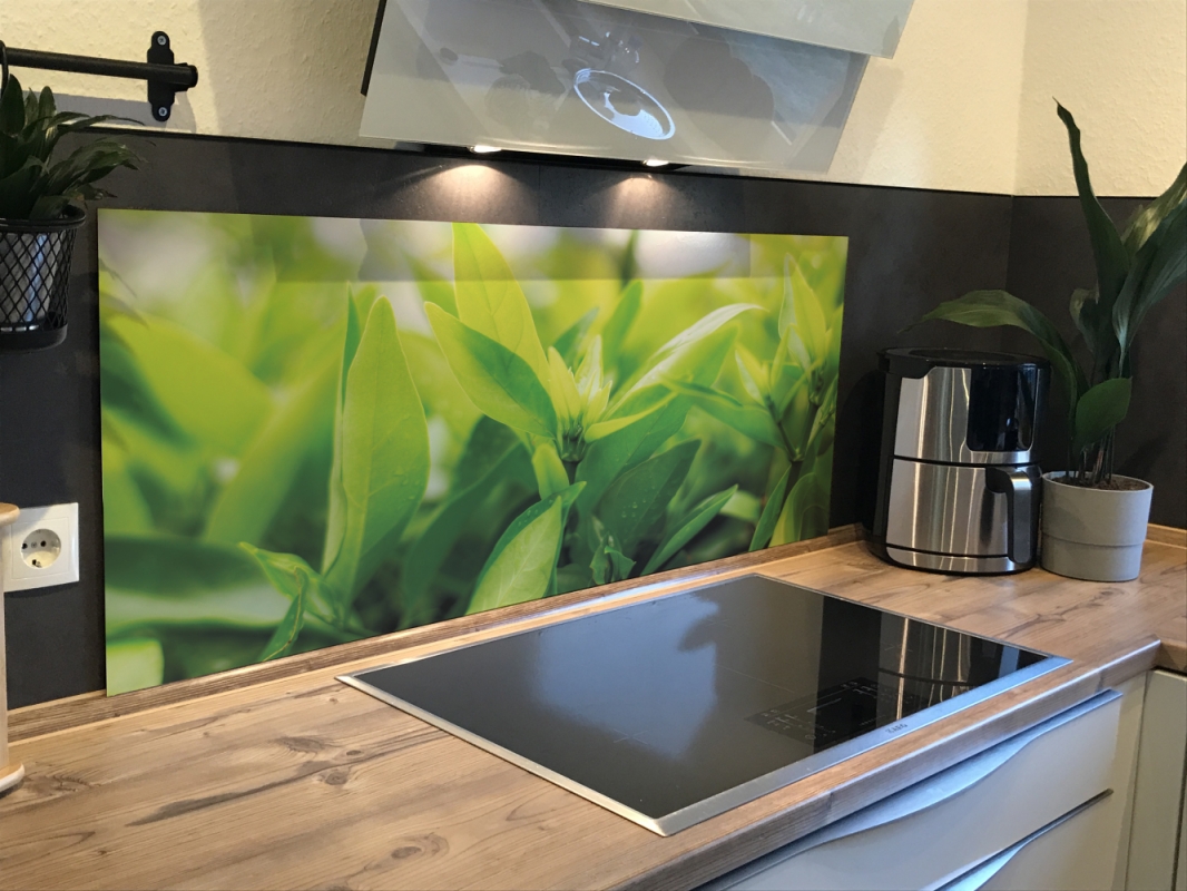Spritzschutz Küche Hartschaumplatte Grüne Pflanze Spritzschutz Küche Hartschaumplatte Grüne Pflanze
