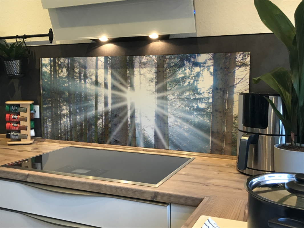 Spritzschutz Küche Hartschaumplatte Wald Sonnenlicht Spritzschutz Küche Hartschaumplatte Wald Sonnenlicht